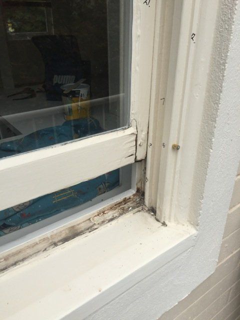 new form windows