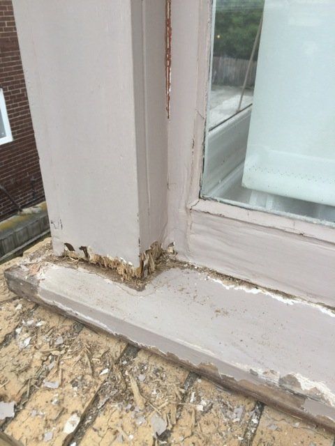 new form windows