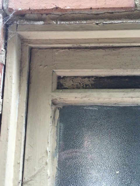 new form windows