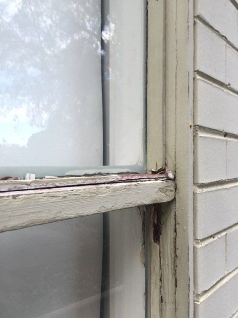 new form windows