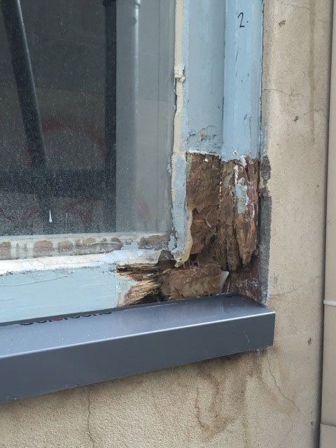 new form windows