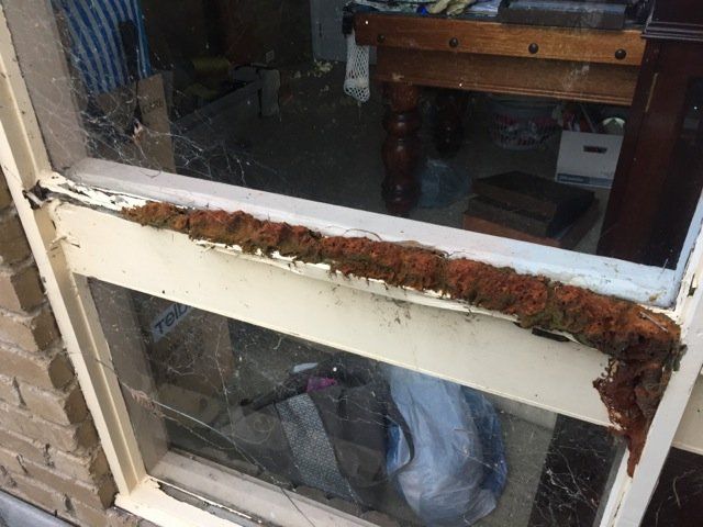 new form windows