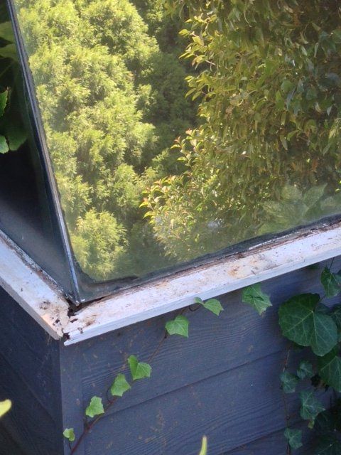 new form windows
