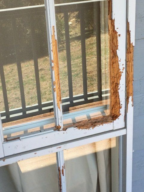 new form windows