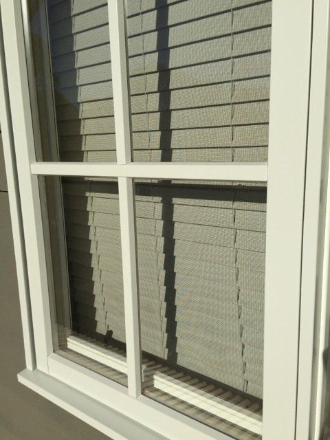 new form windows
