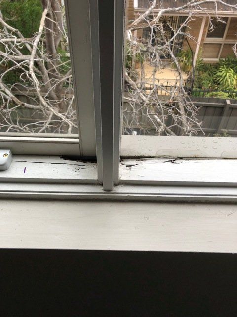 new form windows