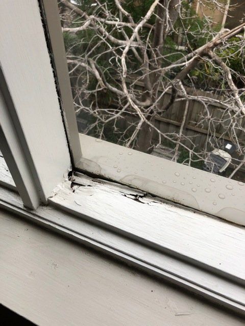 new form windows