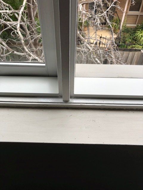 new form windows