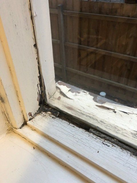 new form windows