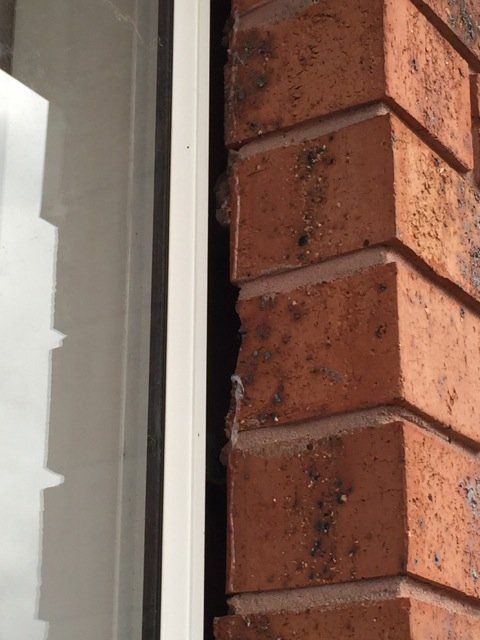 new form windows