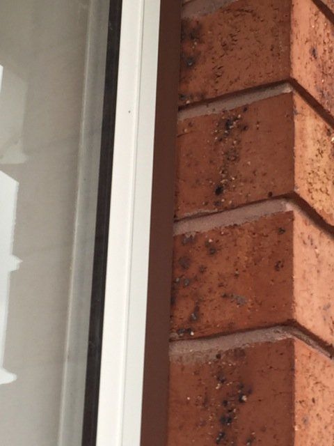 new form windows