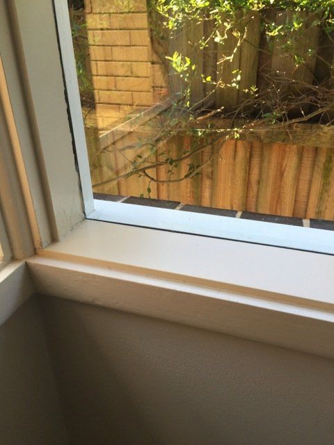 new form windows