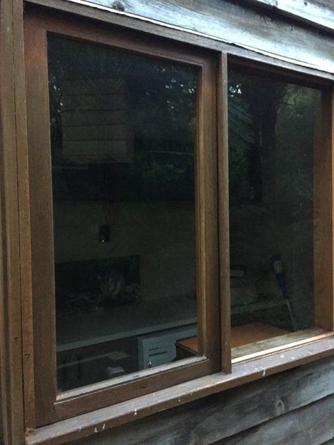 new form windows