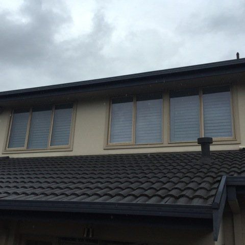 new form windows