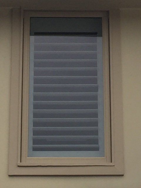 new form windows