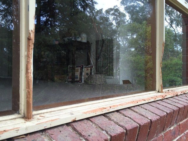 new form windows