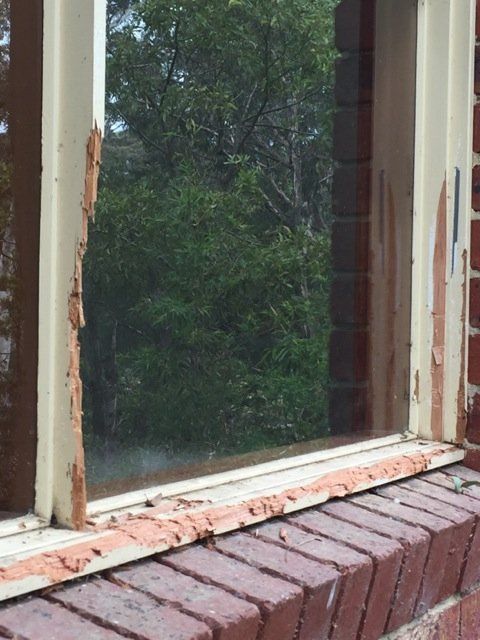 new form windows