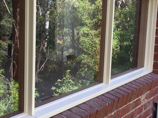 new form windows