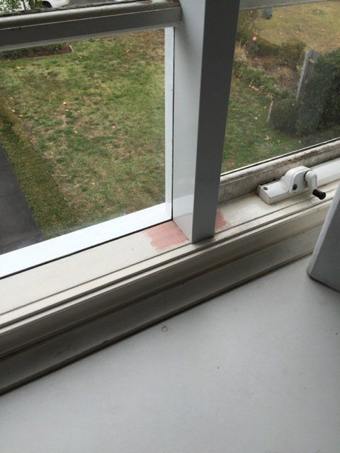 new form windows