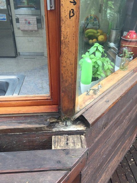 new form windows