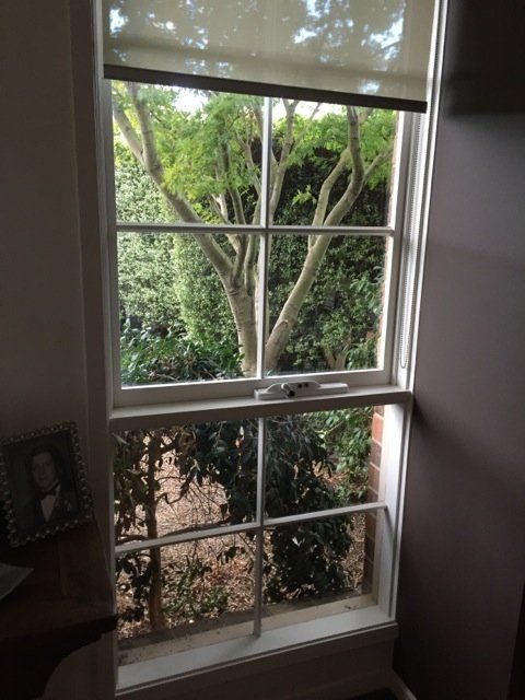 new form windows