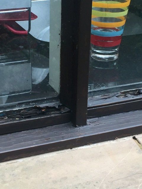 new form windows
