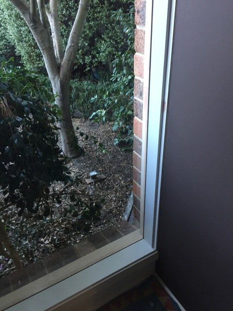 new form windows