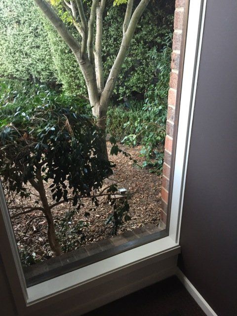 new form windows