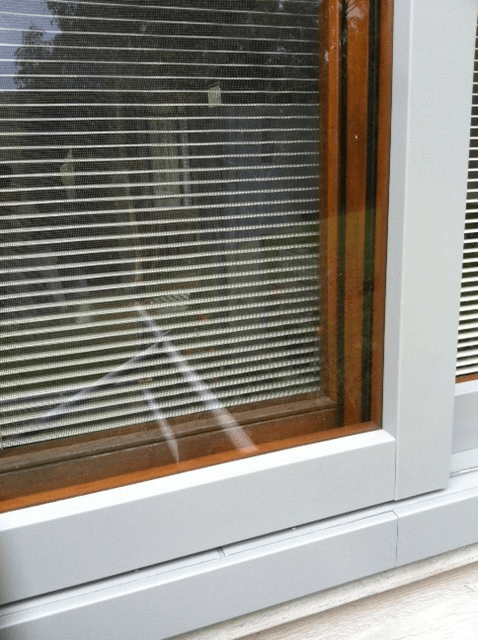 new form windows
