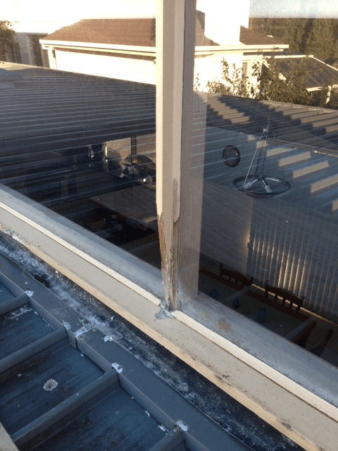 new form windows