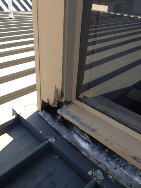 new form windows