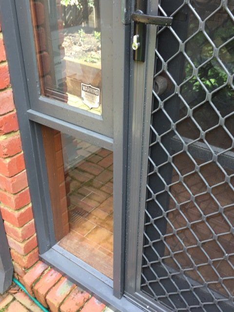 new form windows