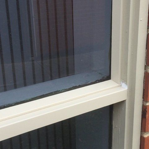 new form windows