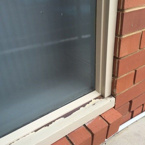 new form windows