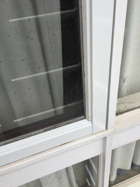 new form windows
