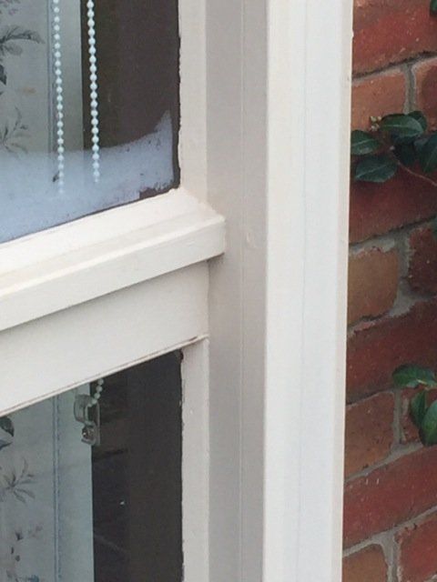 new form windows