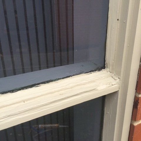 new form windows