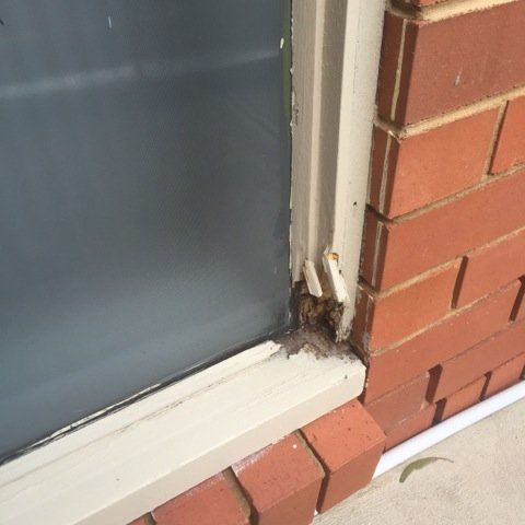 new form windows