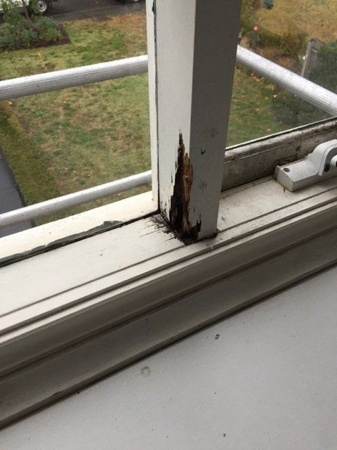 new form windows