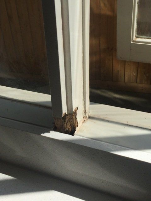 new form windows