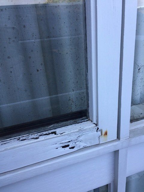 new form windows