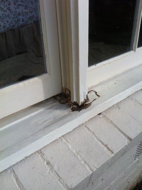new form windows