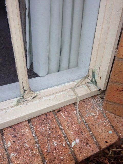 new form windows