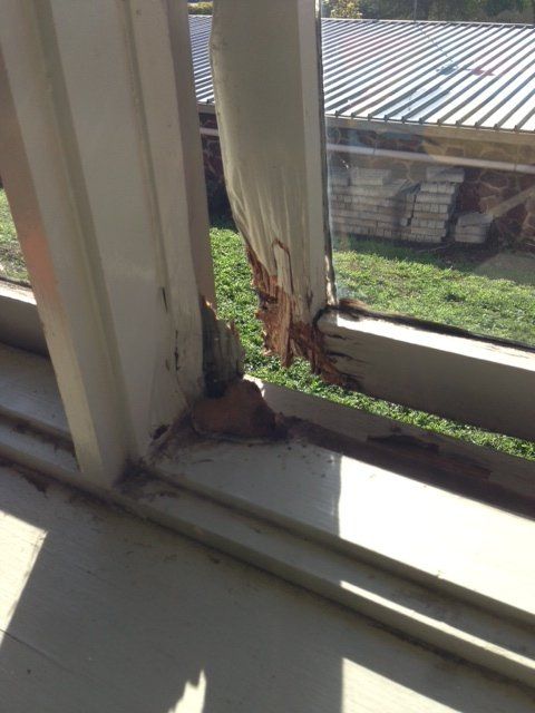 new form windows