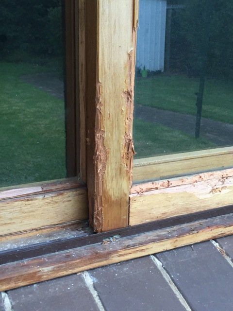 new form windows