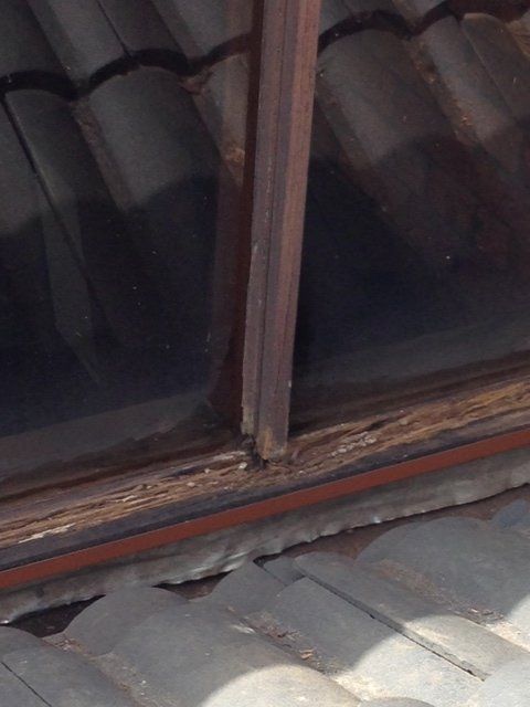 newformwindows