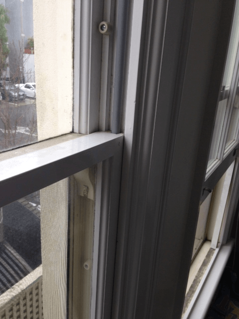 new form windows