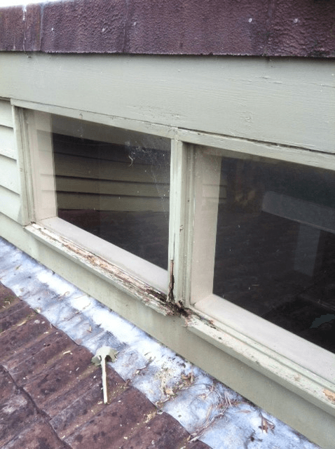 new form windows