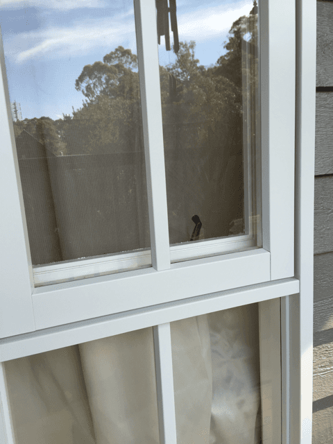 new form windows