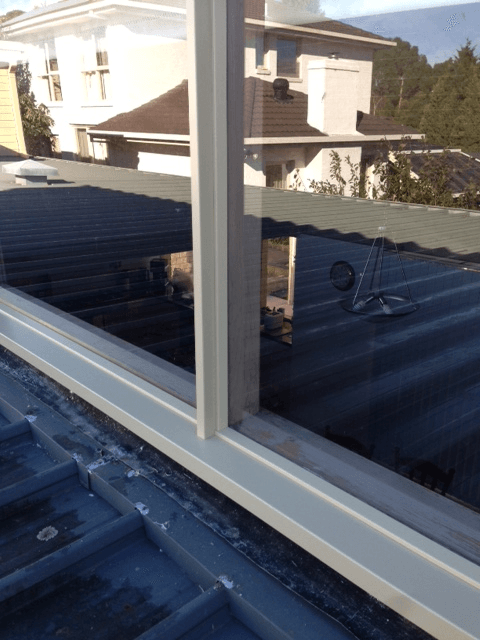 new form windows